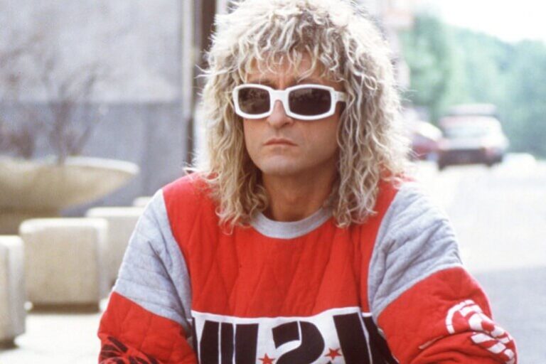 Michel Polnareff fortune : entre musique et investissements